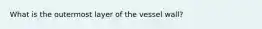 What is the outermost layer of the vessel wall?