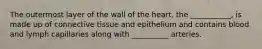 The outermost layer of the wall of the heart, the ___________, is made up of connective tissue and epithelium and contains blood and lymph capillaries along with __________ arteries.