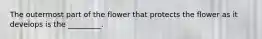 The outermost part of the flower that protects the flower as it develops is the _________.