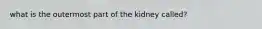 what is the outermost part of the kidney called?