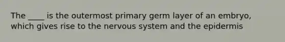 The ____ is the outermost primary germ layer of an embryo, which gives rise to the nervous system and the epidermis