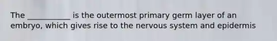 The ___________ is the outermost primary germ layer of an embryo, which gives rise to the nervous system and epidermis