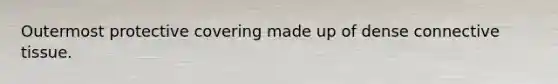 Outermost protective covering made up of dense <a href='https://www.questionai.com/knowledge/kYDr0DHyc8-connective-tissue' class='anchor-knowledge'>connective tissue</a>.