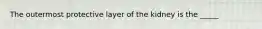 The outermost protective layer of the kidney is the _____