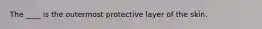 The ____ is the outermost protective layer of the skin.