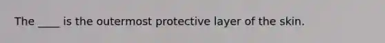 The ____ is the outermost protective layer of the skin.