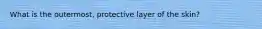 What is the outermost, protective layer of the skin?