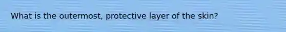 What is the outermost, protective layer of the skin?