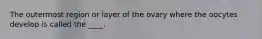 The outermost region or layer of the ovary where the oocytes develop is called the ____.