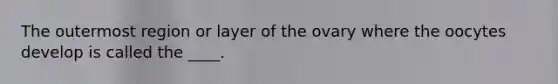 The outermost region or layer of the ovary where the oocytes develop is called the ____.