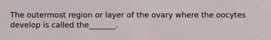 The outermost region or layer of the ovary where the oocytes develop is called the_______.