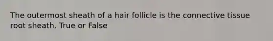 The outermost sheath of a hair follicle is the connective tissue root sheath. True or False