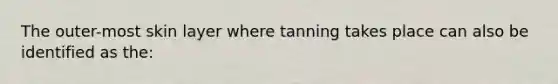 The outer-most skin layer where tanning takes place can also be identified as the: