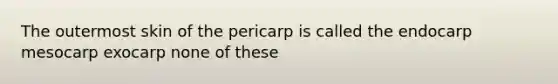 The outermost skin of the pericarp is called the endocarp mesocarp exocarp none of these