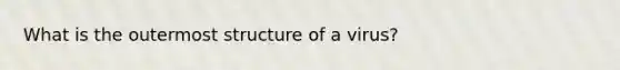 What is the outermost structure of a virus?
