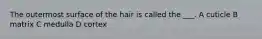 The outermost surface of the hair is called the ___. A cuticle B matrix C medulla D cortex