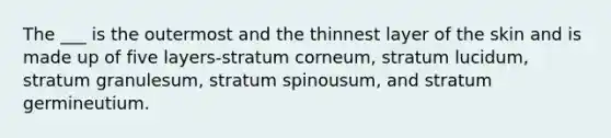 The ___ is the outermost and the thinnest layer of the skin and is made up of five layers-stratum corneum, stratum lucidum, stratum granulesum, stratum spinousum, and stratum germineutium.