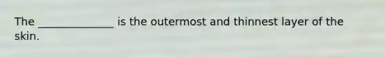 The ______________ is the outermost and thinnest layer of the skin.