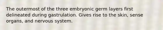 The outermost of the three embryonic germ layers first delineated during gastrulation. Gives rise to the skin, sense organs, and nervous system.