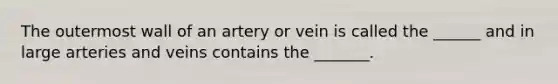 The outermost wall of an artery or vein is called the ______ and in large arteries and veins contains the _______.