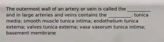 The outermost wall of an artery or vein is called the __________ and in large arteries and veins contains the __________. tunica media; smooth muscle tunica intima; endothelium tunica externa; valves tunica externa; vasa vasorum tunica intima; basement membrane