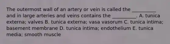 The outermost wall of an artery or vein is called the __________ and in large arteries and veins contains the __________. A. tunica externa; valves B. tunica externa; vasa vasorum C. tunica intima; basement membrane D. tunica intima; endothelium E. tunica media; smooth muscle