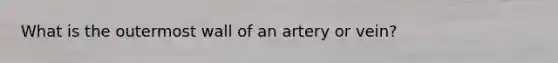 What is the outermost wall of an artery or vein?