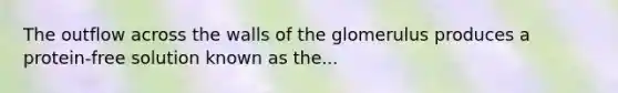 The outflow across the walls of the glomerulus produces a protein-free solution known as the...