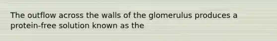 The outflow across the walls of the glomerulus produces a protein-free solution known as the