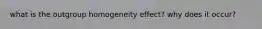 what is the outgroup homogeneity effect? why does it occur?