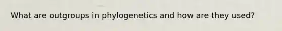 What are outgroups in phylogenetics and how are they used?