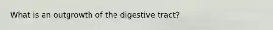 What is an outgrowth of the digestive tract?