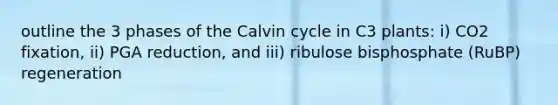 outline the 3 phases of the Calvin cycle in C3 plants: i) CO2 fixation, ii) PGA reduction, and iii) ribulose bisphosphate (RuBP) regeneration