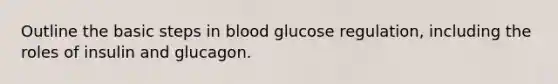 Outline the basic steps in blood glucose regulation, including the roles of insulin and glucagon.