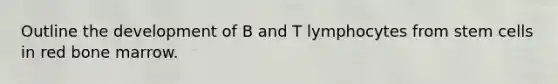 Outline the development of B and T lymphocytes from stem cells in red bone marrow.