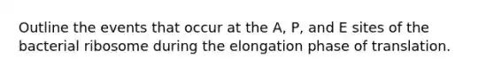 Outline the events that occur at the A, P, and E sites of the bacterial ribosome during the elongation phase of translation.