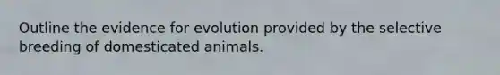 Outline the <a href='https://www.questionai.com/knowledge/kl4L0eHhUT-evidence-for-evolution' class='anchor-knowledge'>evidence for evolution</a> provided by the selective breeding of domesticated animals.