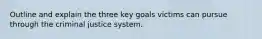 Outline and explain the three key goals victims can pursue through the criminal justice system.