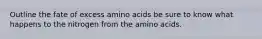 Outline the fate of excess amino acids be sure to know what happens to the nitrogen from the amino acids.