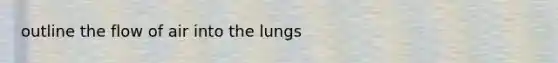 outline the flow of air into the lungs