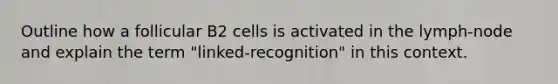 Outline how a follicular B2 cells is activated in the lymph-node and explain the term "linked-recognition" in this context.