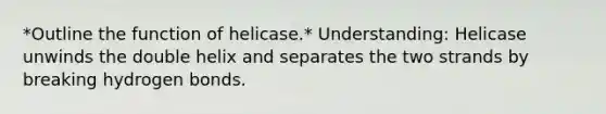 *Outline the function of helicase.* Understanding: Helicase unwinds the double helix and separates the two strands by breaking hydrogen bonds.