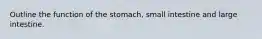 Outline the function of the stomach, small intestine and large intestine.