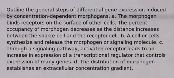 Outline the general steps of differential gene expression induced by concentration-dependent morphogens. a. The morphogen binds receptors on the surface of other cells. The percent occupancy of morphogen decreases as the distance increases between the source cell and the receptor cell. b. A cell or cells synthesize and release the morphogen or signaling molecule. c. Through a signaling pathway, activated receptor leads to an increase in expression of a transcriptional regulator that controls expression of many genes. d. The distribution of morphogen establishes an extracellular concentration gradient.