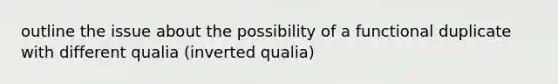 outline the issue about the possibility of a functional duplicate with different qualia (inverted qualia)