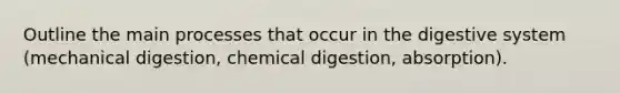 Outline the main processes that occur in the digestive system (mechanical digestion, chemical digestion, absorption).