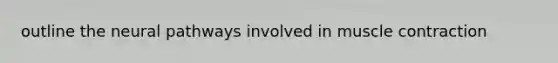outline the neural pathways involved in <a href='https://www.questionai.com/knowledge/k0LBwLeEer-muscle-contraction' class='anchor-knowledge'>muscle contraction</a>