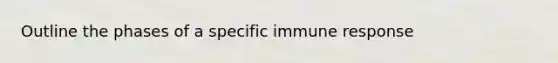 Outline the phases of a specific immune response