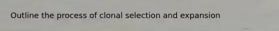 Outline the process of clonal selection and expansion