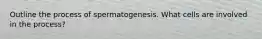 Outline the process of spermatogenesis. What cells are involved in the process?